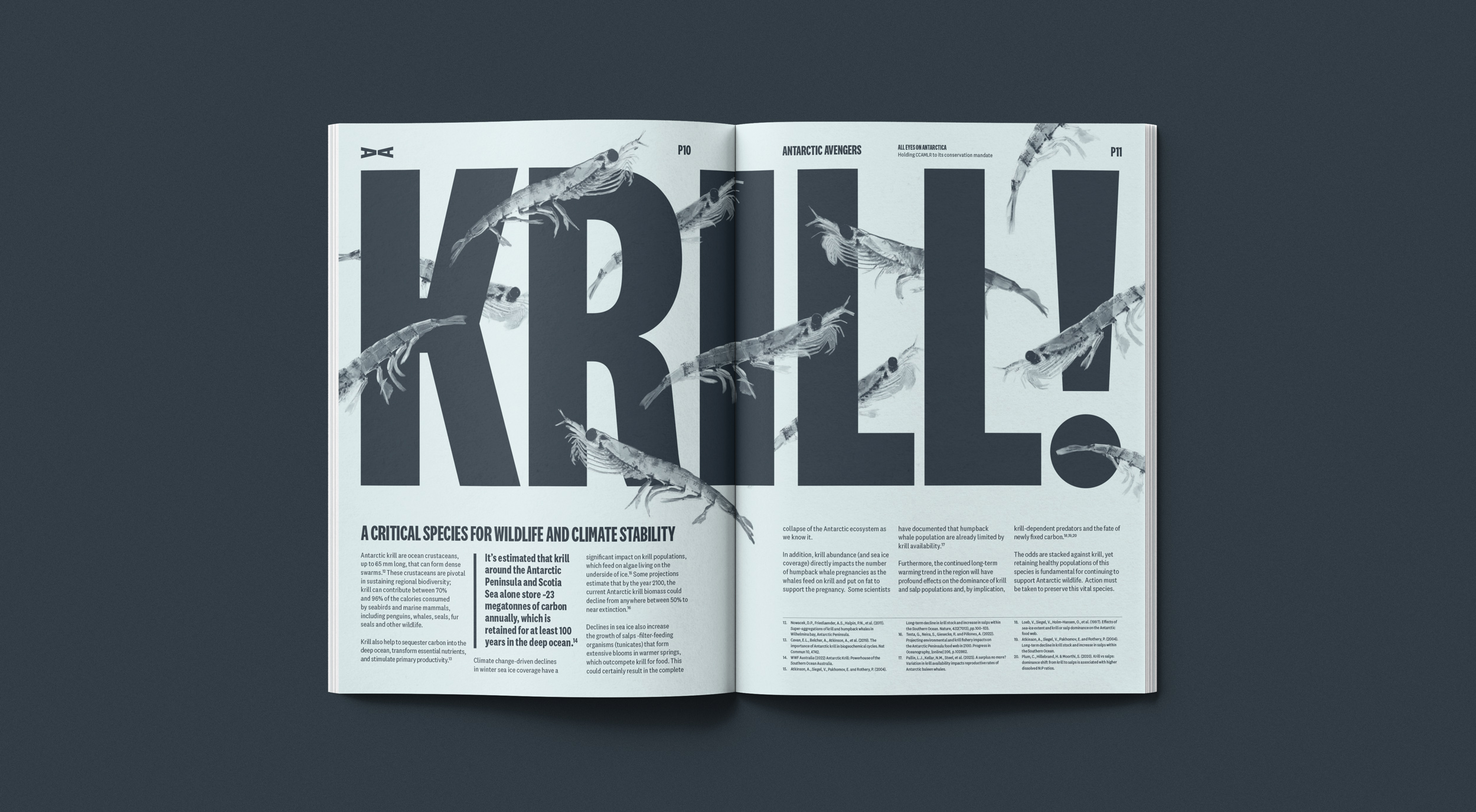 AA-KRILL-Spread