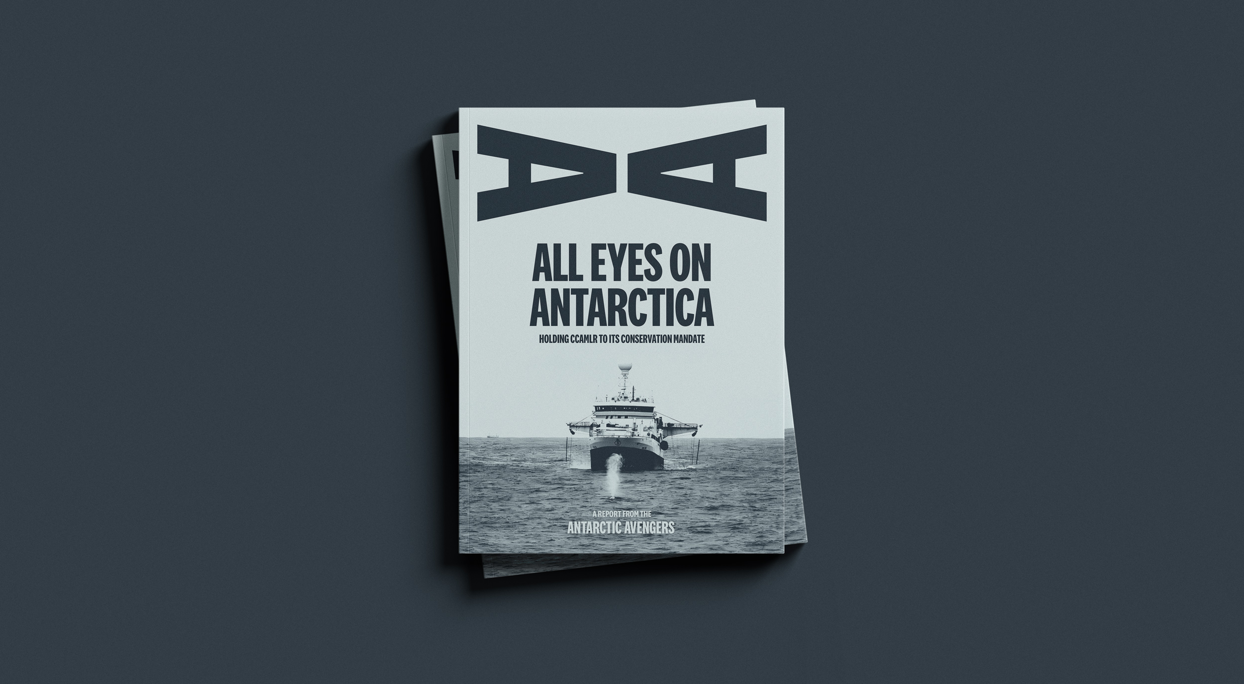 AA-Report-Cover