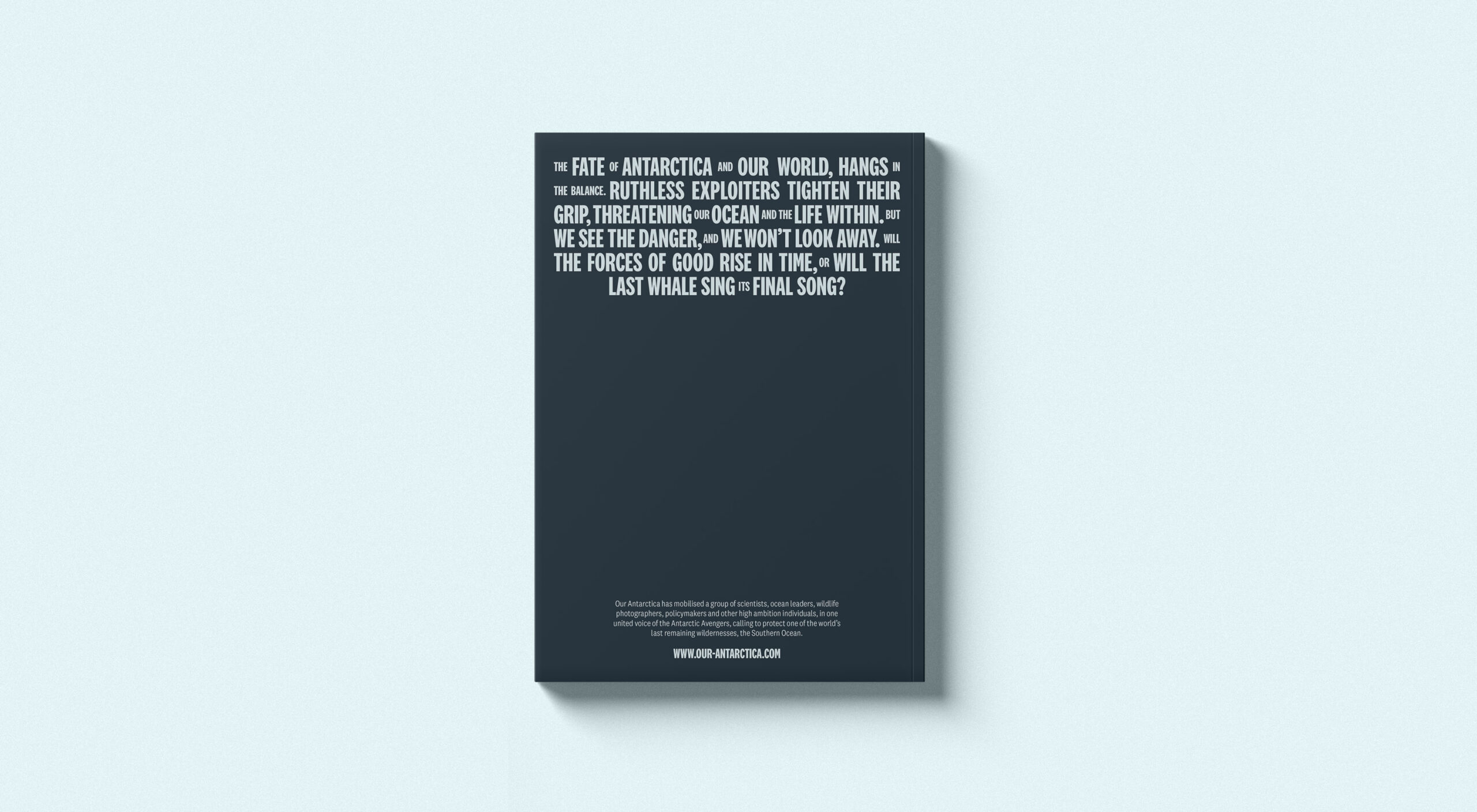 AA-Report-Back-Cover