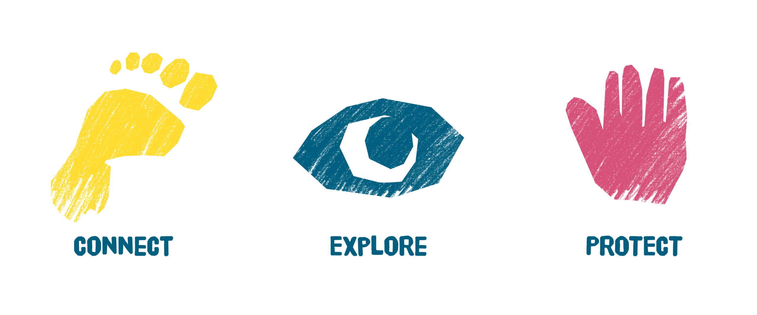 Ocean-School-StrategyBackground2