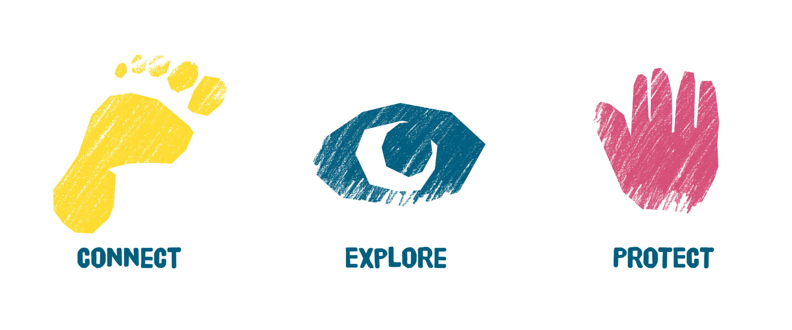 Ocean-School-StrategyBackground3